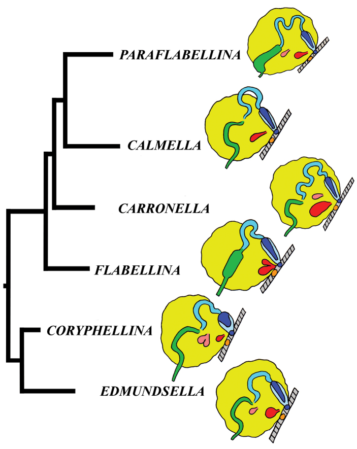 Figure 34.