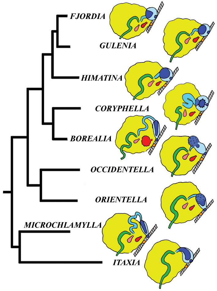 Figure 21.