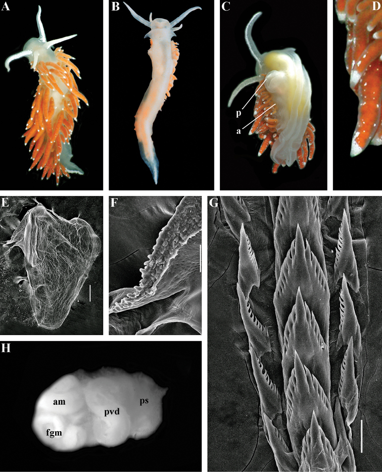 Figure 18.