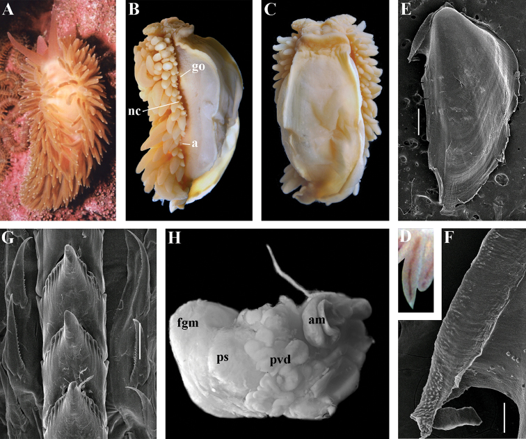 Figure 15.