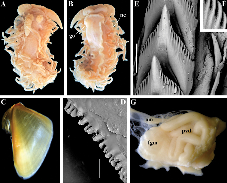 Figure 14.