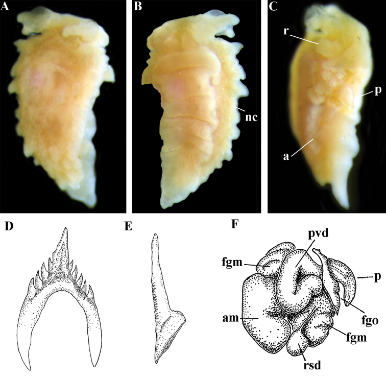 Figure. 10.