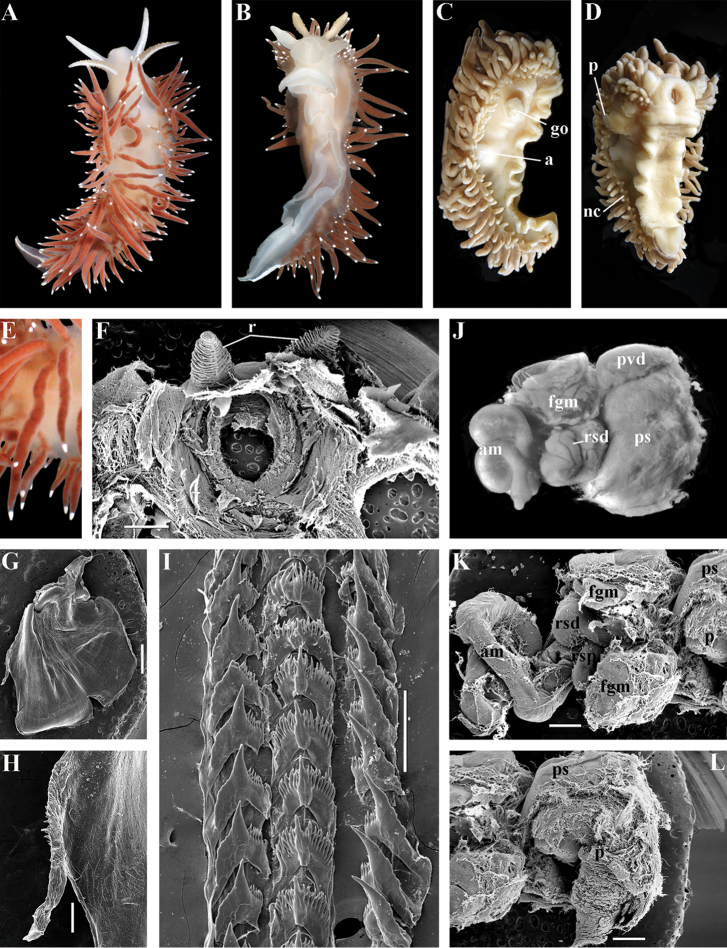 Figure 28.