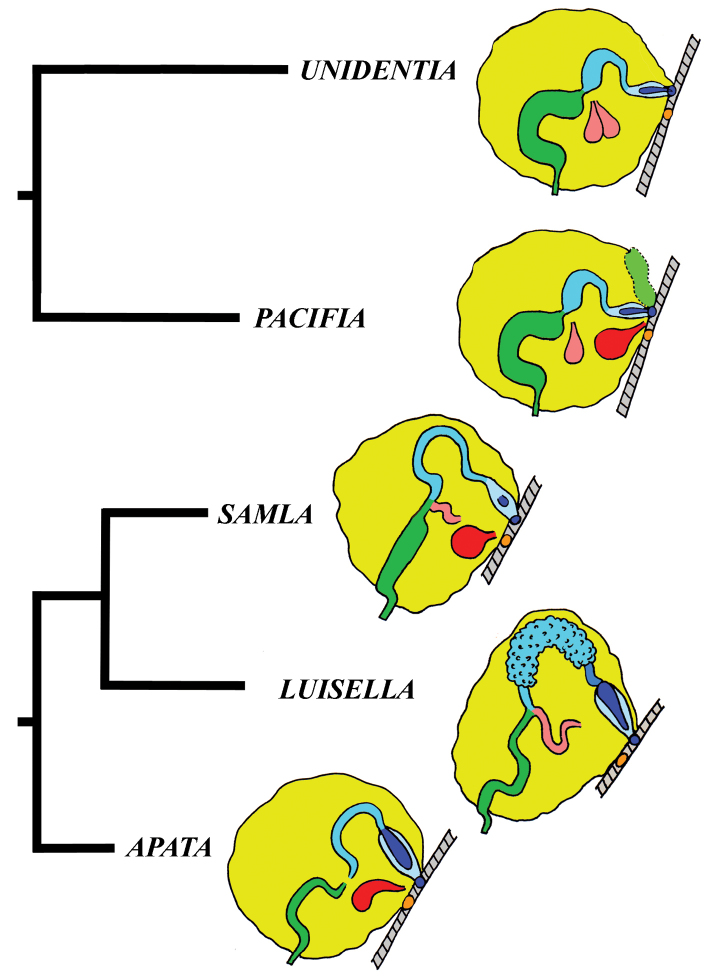 Figure 45.