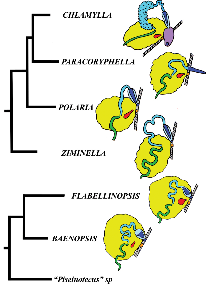 Figure 7.