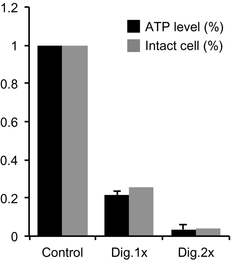 Figure 4—figure supplement 1.