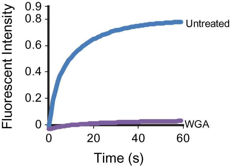 Figure 6—figure supplement 2.