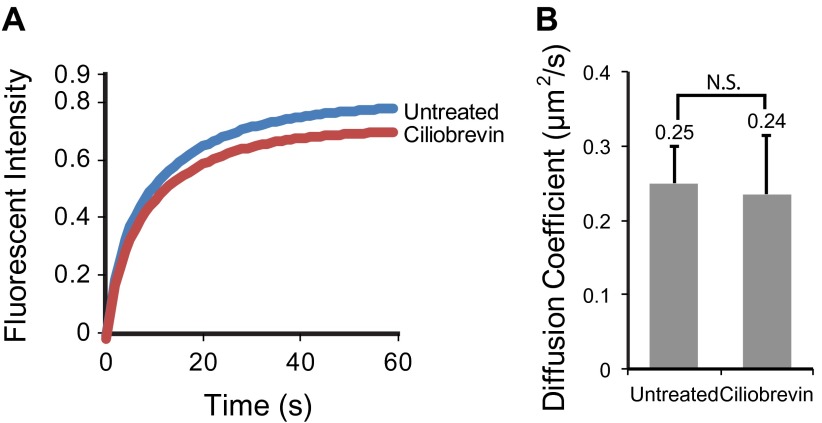 Figure 5—figure supplement 2.