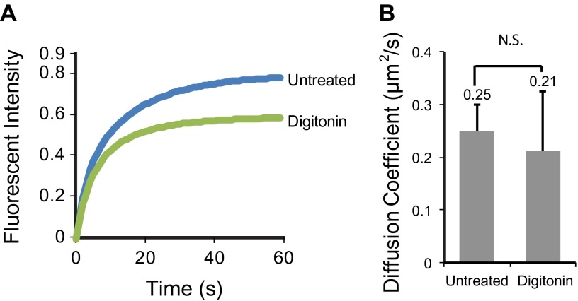 Figure 4—figure supplement 3.