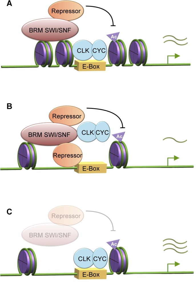 Fig 6