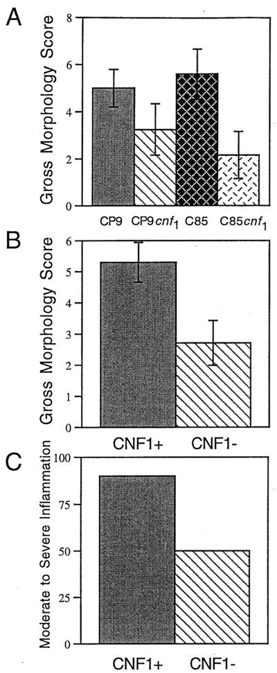 FIG. 1