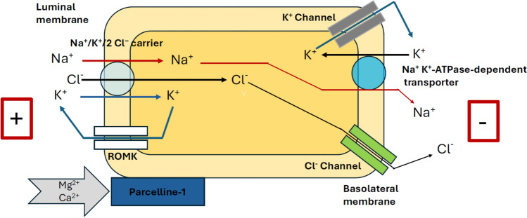 Fig. 1