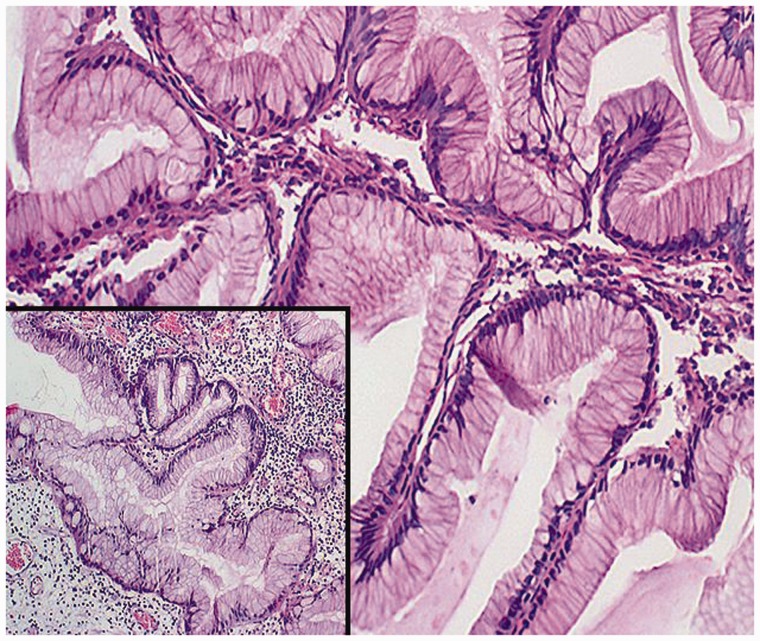 Figure 2.