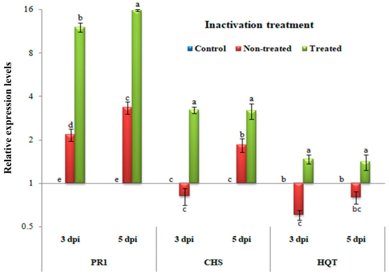 Figure 5