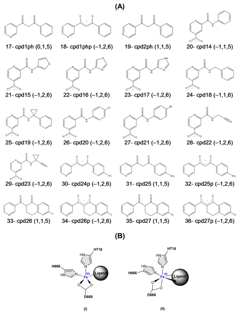 Scheme 2.