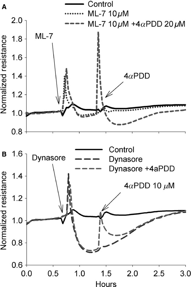 Figure 14