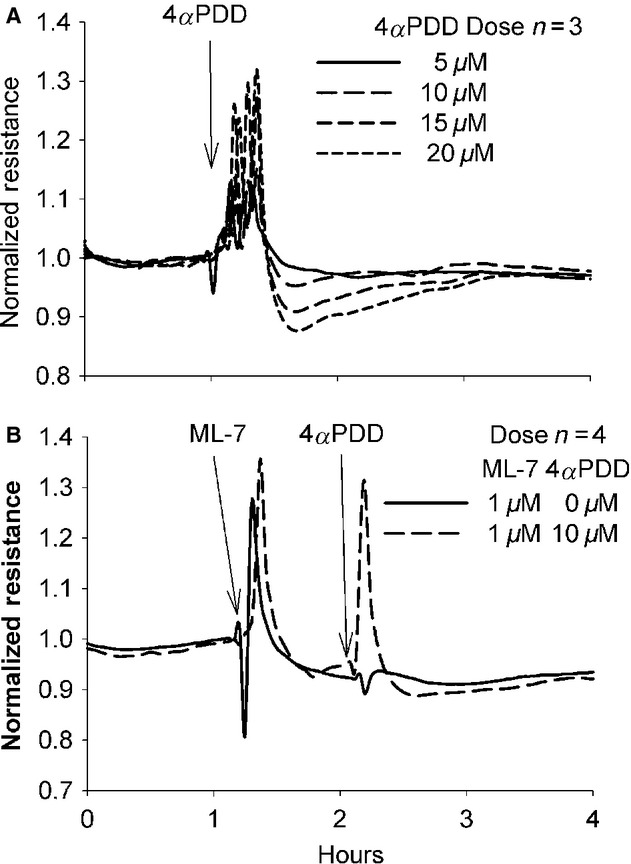 Figure 13