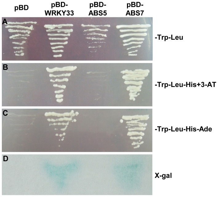 Figure 7