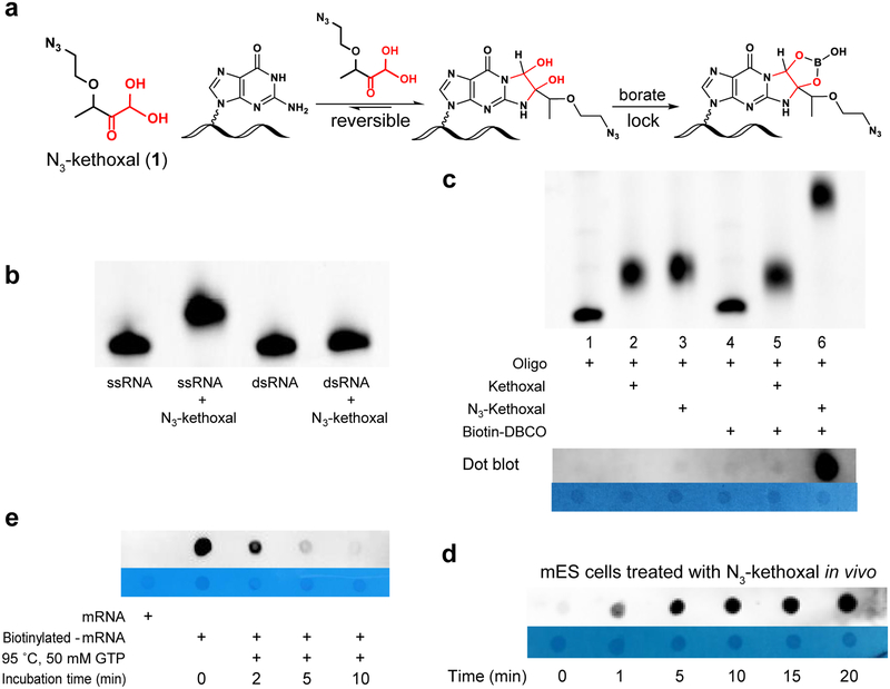 Figure 1 |