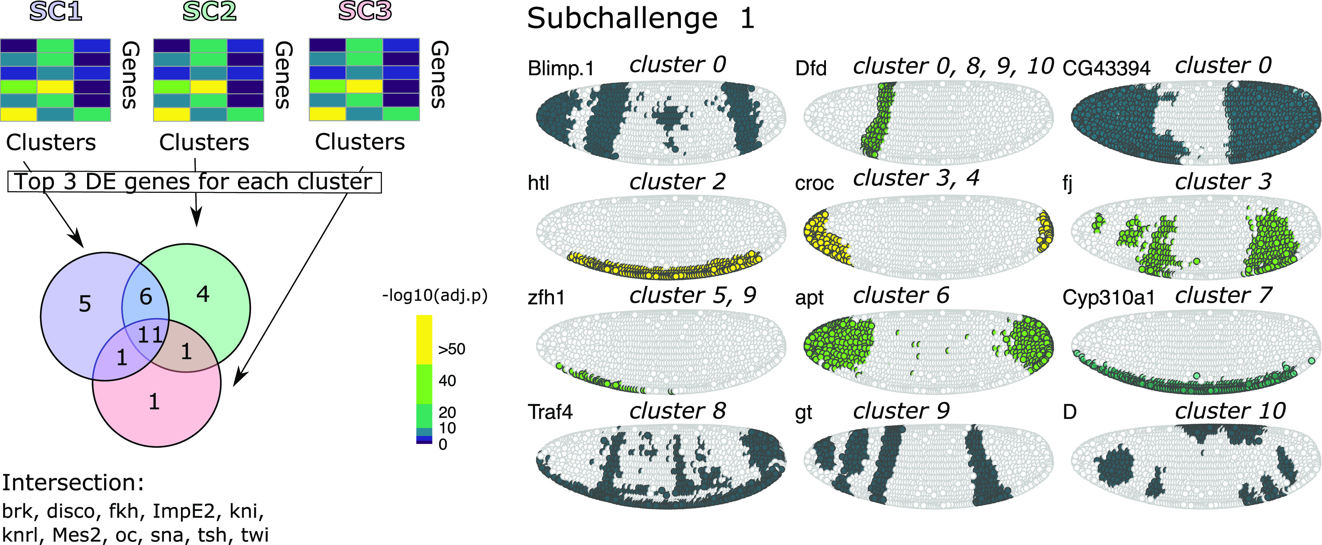 Figure 4.