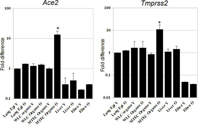 Supplementary Figure S4: