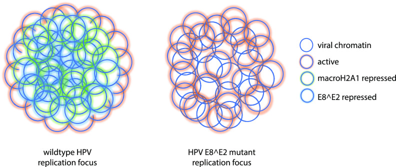 FIG 12