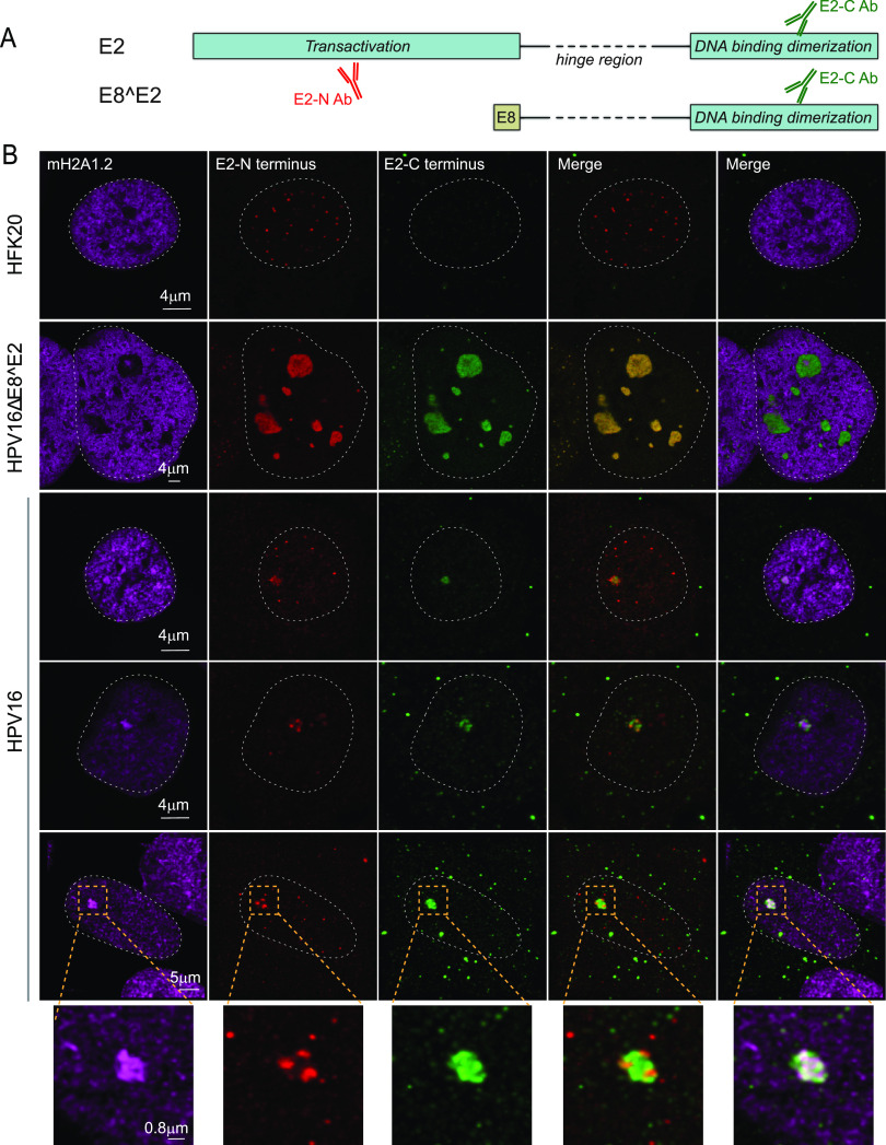 FIG 11