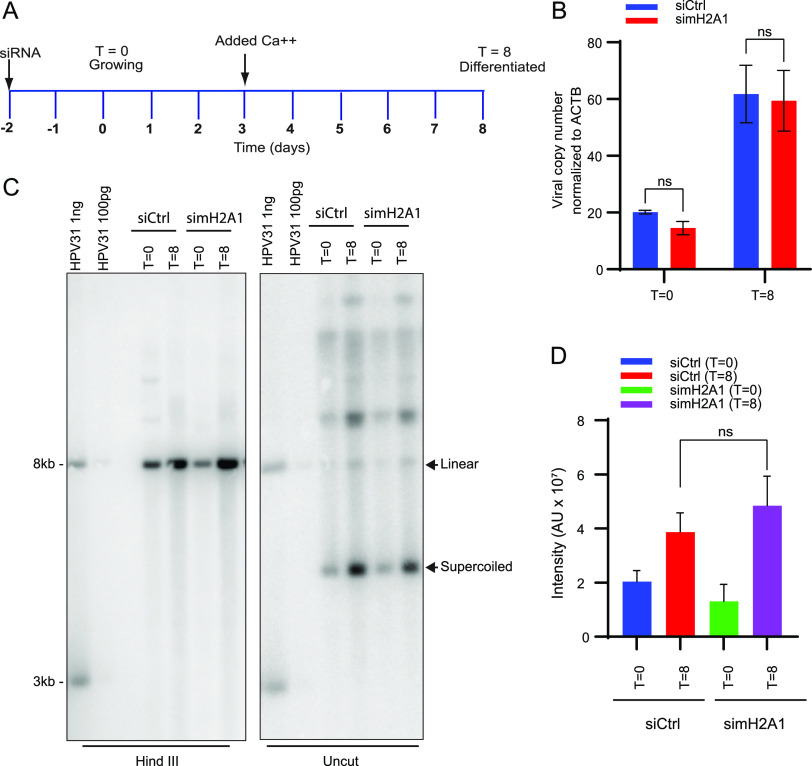 FIG 4