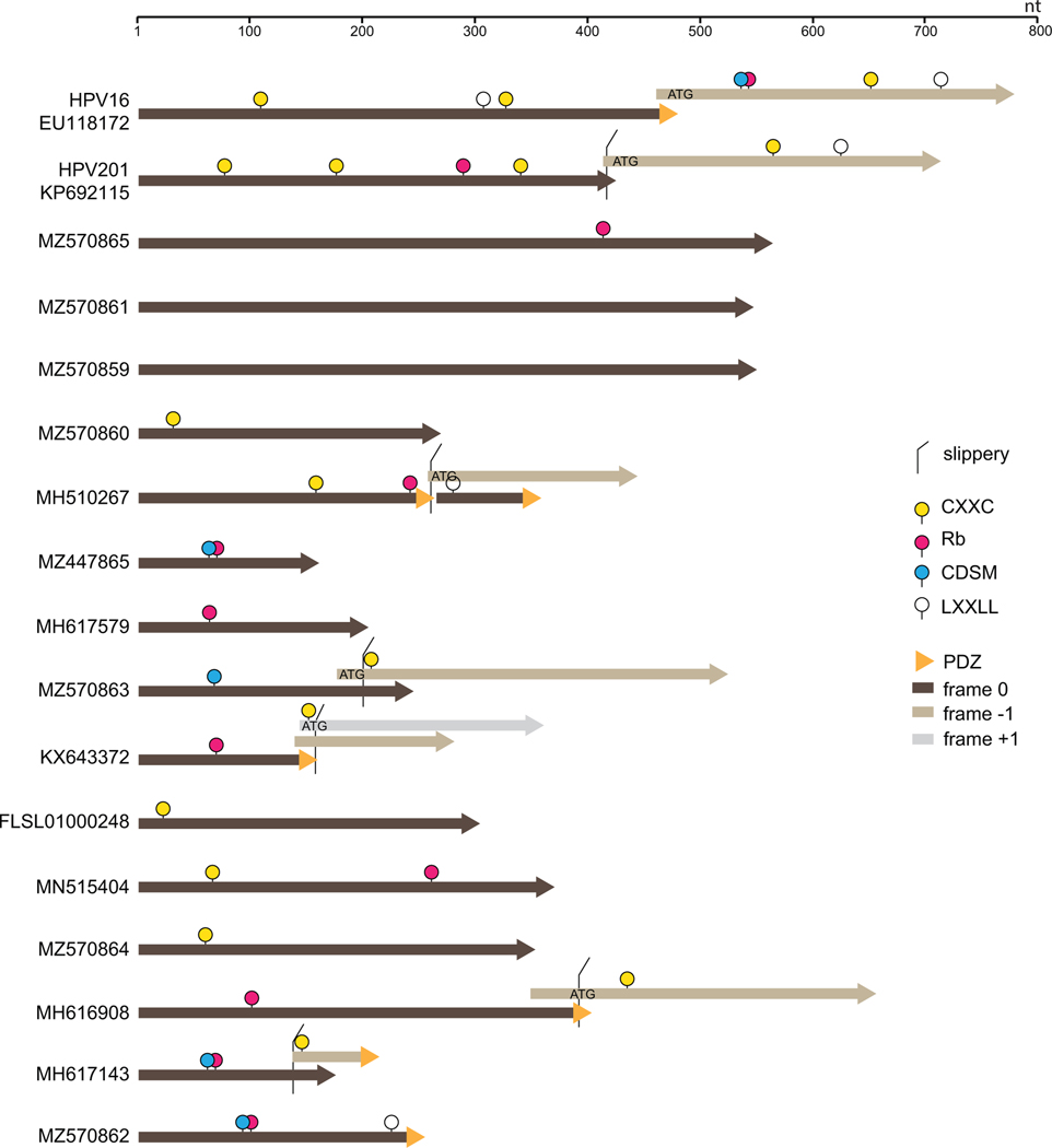 Figure 2: