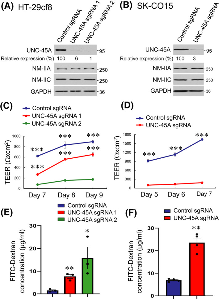 FIGURE 1