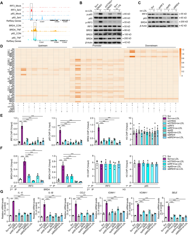 Figure 4