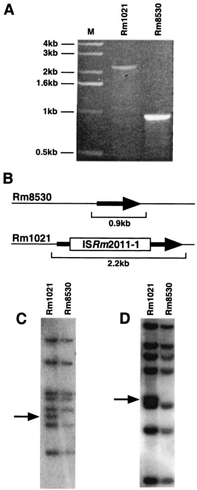 FIG. 2.