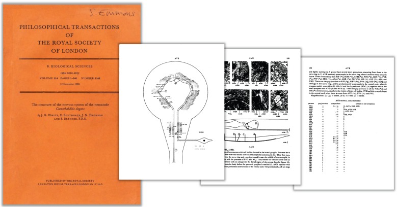 Figure 5.