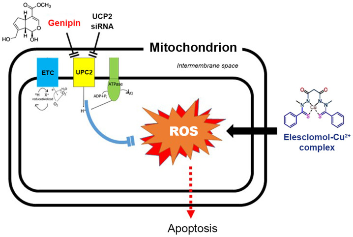 Figure 6.