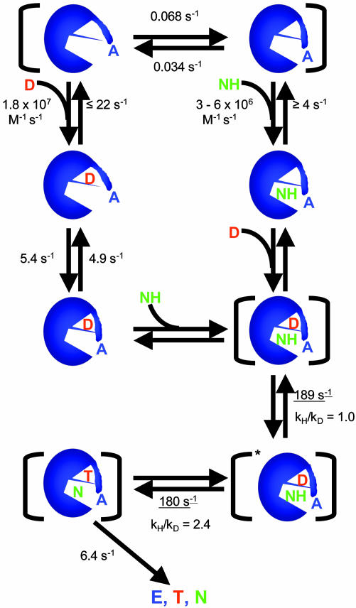 Fig. 10.