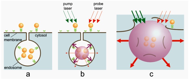 Figure 15.