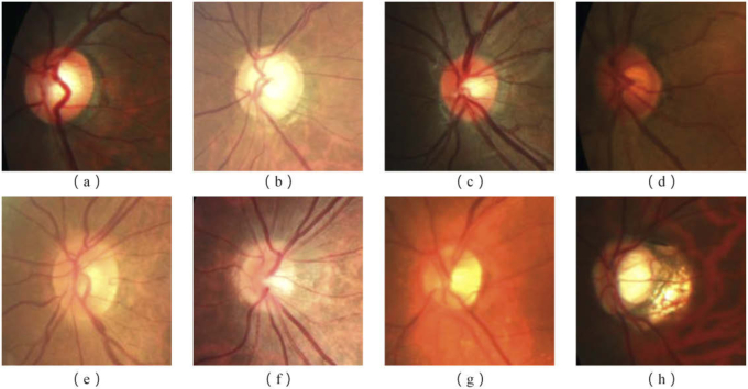 Fig. 2.