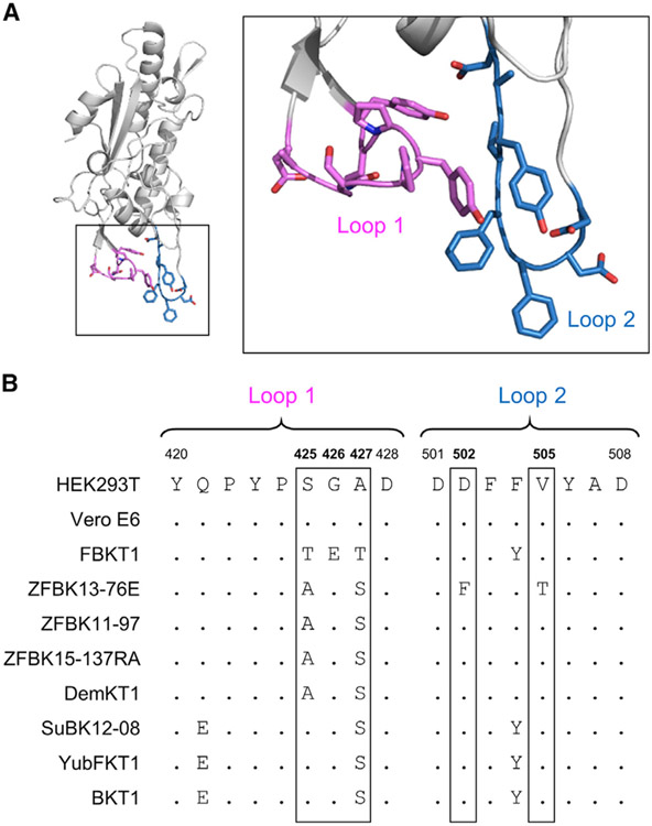 Figure 2.