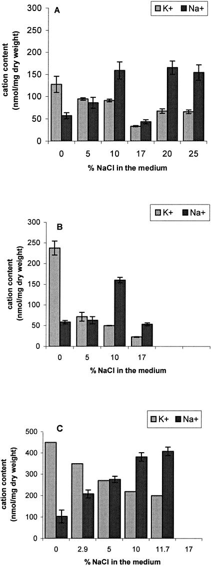 FIG. 2.