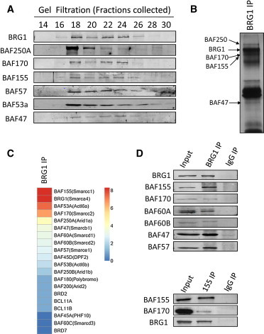 Figure 3