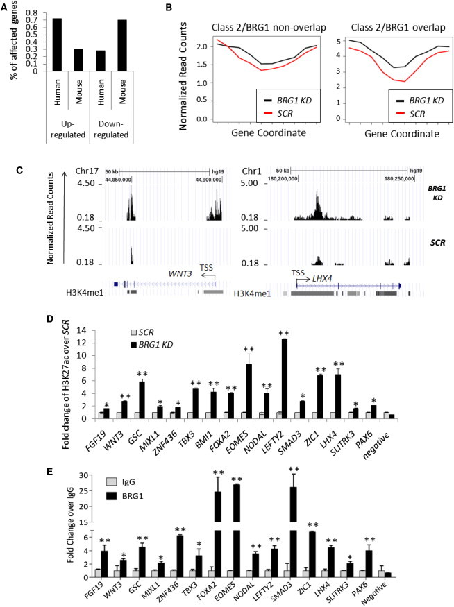 Figure 6