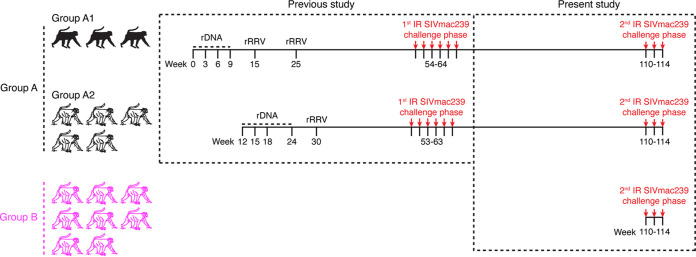 FIG 1