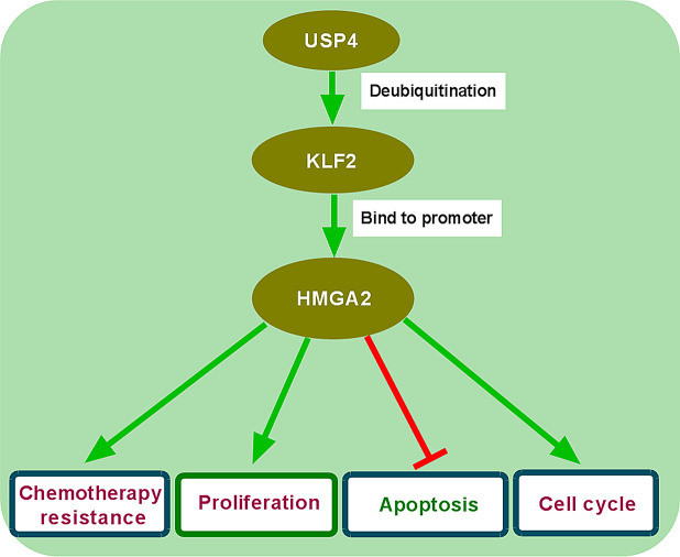 graphic file with name 13018_2025_5537_Figa_HTML.jpg