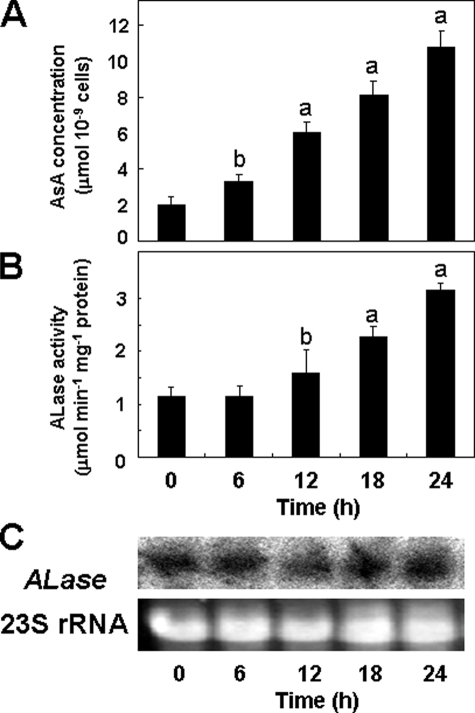 FIGURE 9.