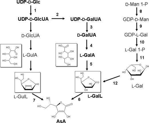 FIGURE 1.