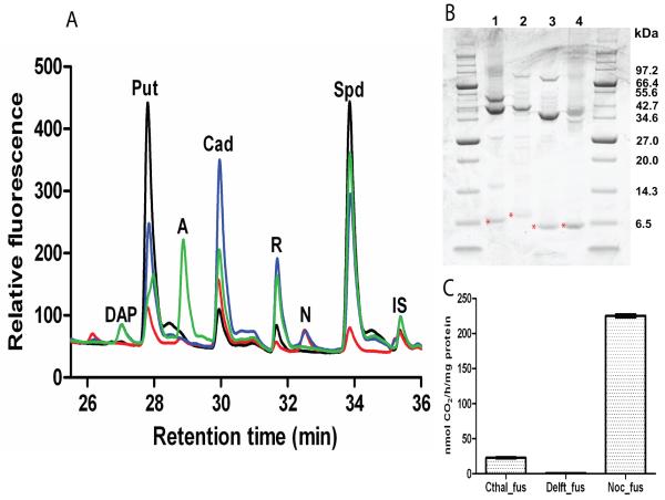 Fig. 4