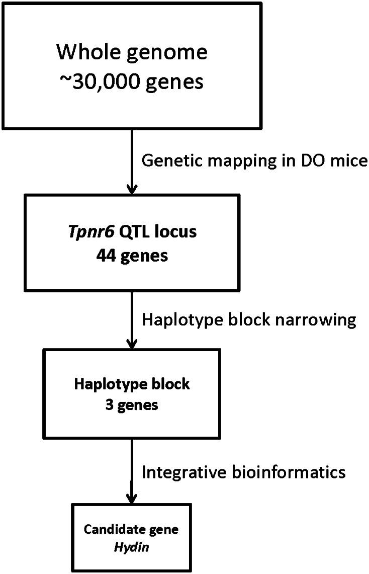 Fig. 1