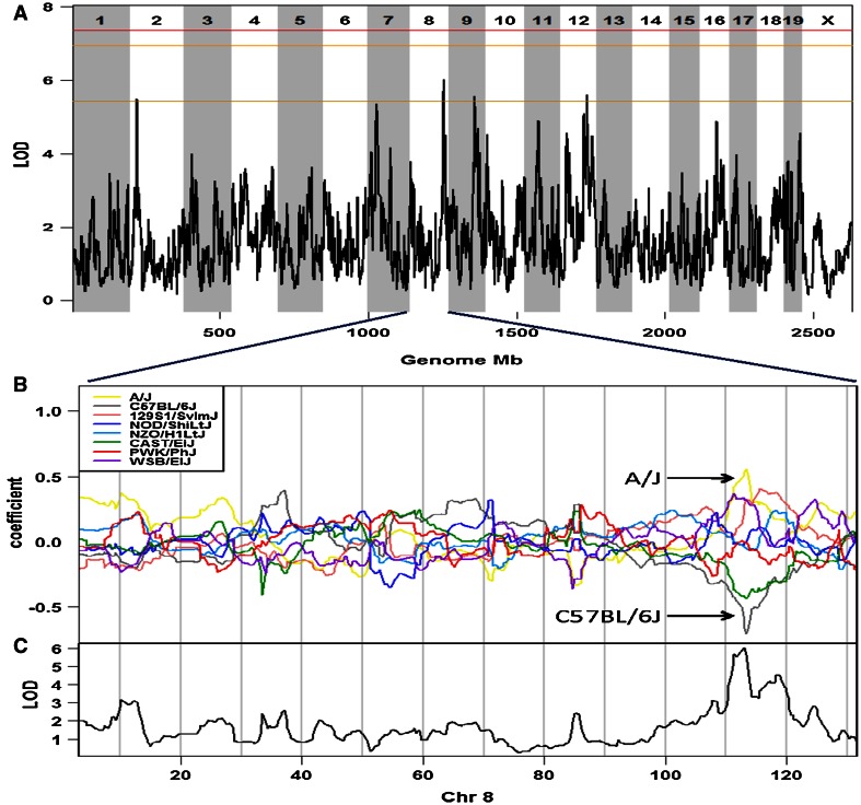 Fig. 2