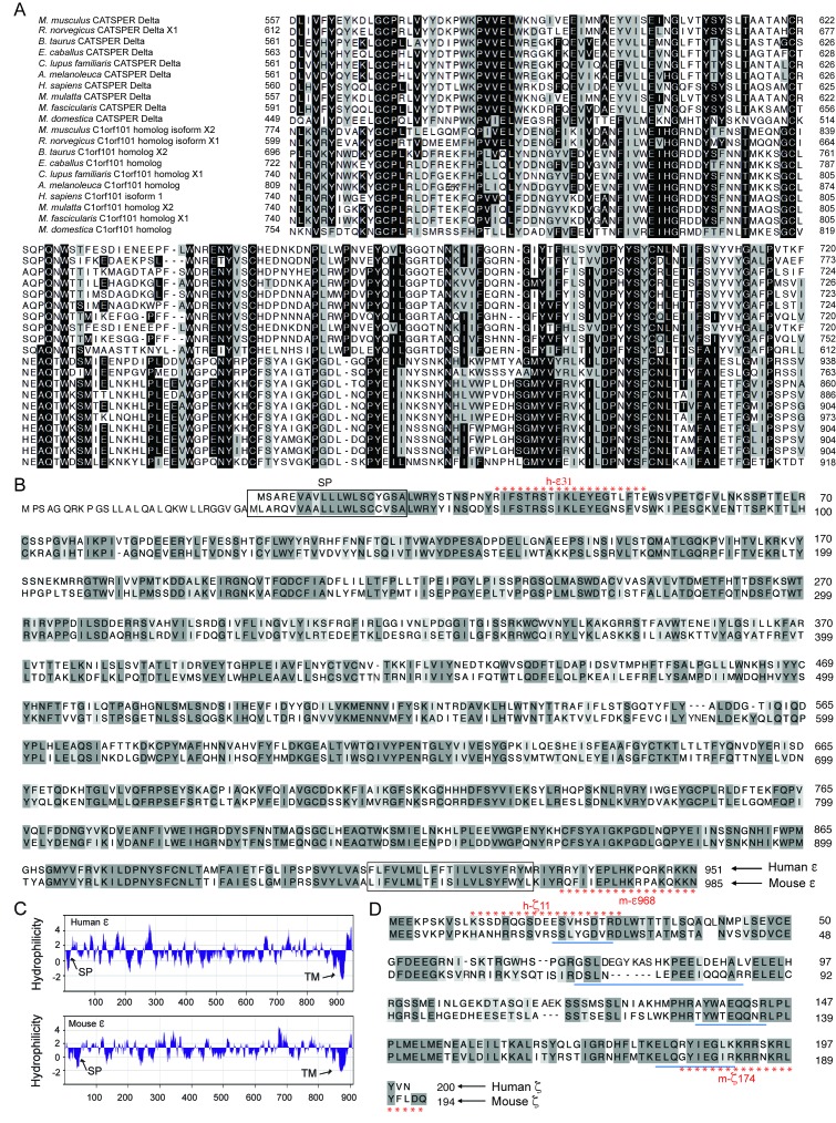 Figure 1—figure supplement 1.