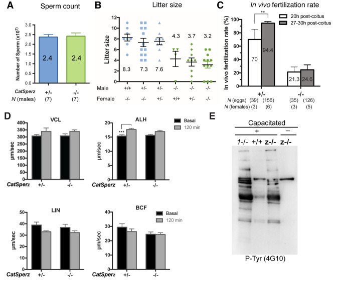 Figure 2—figure supplement 2.